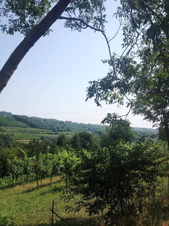 B&B Maccalle Oasi Franciacorta Provezze Buitenkant foto